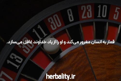 معرفی سایت و اپلیکیشن شرط بندی 021