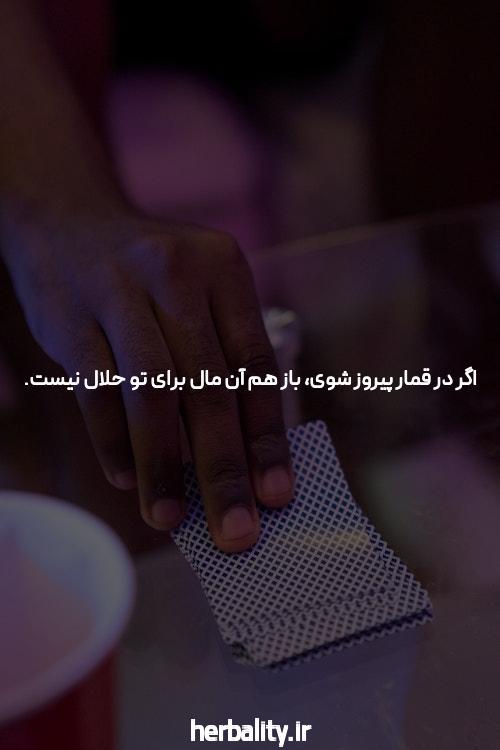 معرفی دانلود اپلیکیشن شرط بندی چلسی بت: بهترین انتخاب برای شرط بندی آنلاین