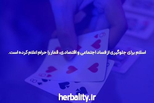 معرفی لینک مستقیم ورود به سایت سیگاری بت: نخستین قدم به دنیای شرط بندی آنلاین