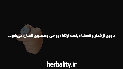 آشنایی با سایت شرط بندی سیگاری بت: یک راهنمای کامل