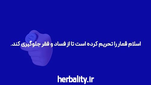 آشنایی با سایت شرط بندی معتبر: راهنمای جامع برای انتخاب بهترین پلتفرمها