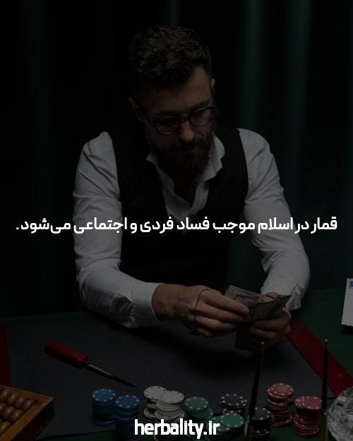 سایت شرط بندی معتبر تینیبت