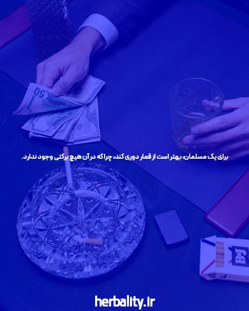 معرفی سایت و اپلیکیشن شرط بندی Bingo: دنیای هیجان و سرگرمی