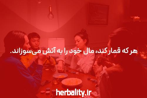 آشنایی با کد هدیه سایت 1xbet در دنیای شرط بندی